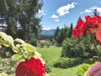 Peaceful Nature Cabin Jolly - B&B Mozirje