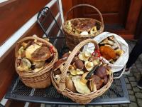Roubenka Zlatá Olešnice - B&B