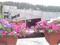 Achillea Alpina Cervinia apartment Vda Vacanze in Vetta CIR 0249 - Chambres d'hôtes Breuil