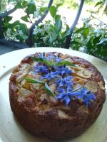 Ca del bosso - B&B Calamandrana