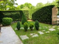 La casa del Pino Argentato - B&B Ateleta
