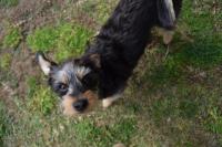 Appartamento Superior