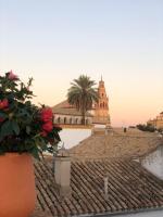 Dúplex el Espejo de la Mezquita - Chambres d’hôtes Cordoue