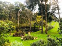 Countryside Retreat romantic tranquil native wildlife township Hepburn - Daylesford - B&B Hepburn Springs