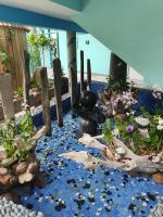Bord Mer City Apartments - Bed and Breakfast La Digue