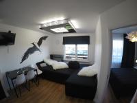 SEAGULL - B&B Ventspils