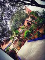 Appartamento con Vista Giardino