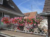 Gîte Faubourg des Pierres - B&B