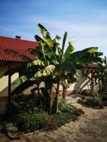 Ráday Apartman - B&B Makó