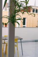 130sqm appartment with 20sqm terras and free parking - Ferienwohnung Antwerpen