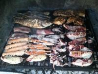 Apartments Paro - B&B Pag