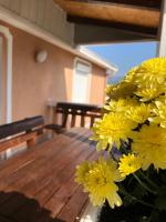 B&B Podgorica - Apartmani Breze - Bed and Breakfast Podgorica