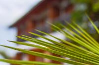 Appartamento su 2 Livelli