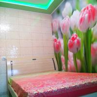 B&B Charkov - Апартаменты стадион Металист tulips - Bed and Breakfast Charkov