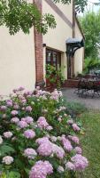 Pension Am Holzgraben - B&B Lubnjow