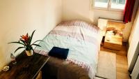 Chbre 2 pers, sdb privée, repas et Taxi CDG Extra - Ferienwohnung Aulnay-sous-Bois