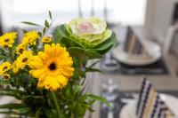 Vasko luxurious suites, Kaakkuri - B&B