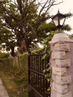 Oak Leaves Cottage Clarens - B&B Clarens