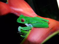 Doppelzimmer mit eigenem Bad