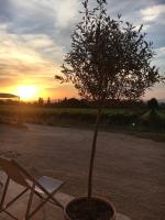 l'Ecurie - B&B Bonnieux