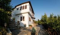 Pelion House with Wonderful View - B&B Vyzitsa