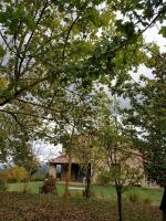 La casa di Arianna - B&B Casole d'Elsa