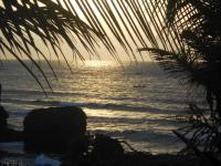 Blue Bay Cove, Penthouse 4 - B&B Watamu