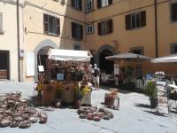 The house with steam room, jacuzzi and theater view - B&B Cortona
