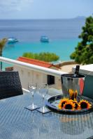 Den Laman - Balloonfish - B&B Kralendijk