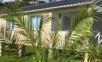 Azores Casa Hawaii - B&B