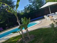 Chez Celine et Philippe Chambre atelier dans propriété de charme avec piscine - B&B Le Fossat
