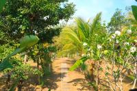 Habitación Doble - 1 o 2 camas