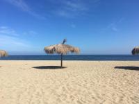 Hermoso Departamento a 5 min. caminando a la playa - B&B