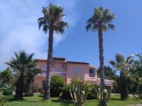 B&B Villa Le Palme Scalea - B&B Scalea