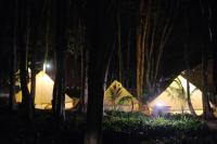O Little Tent de Koh Chang - B&B Ranong