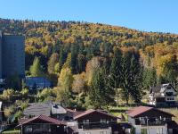 Studio Mountain View - Ferienwohnung Sinaia