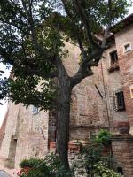 Torre alle Antiche Mura - Chambres d’hôtes Montepulciano