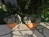 Apartment Quiet Bay - B&B Neum