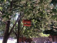 Vila Pepaj Razem - B&B