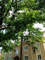 Guest house Kiev forest - B&B