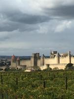 Les Orchidées - B&B Carcassonne