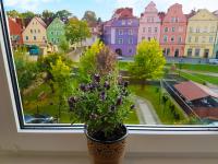 Apartament Przy Starówce - Stella - 2 Osobne Sypialnie, 2 Separate Bedrooms in Old Town - Main Square, Amazing View, Top Location! - Chambres d'hôtes Bolesławiec