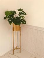 Botanic Gardens 26- 5-bedroom Near AEON Bukit Tinggi - B&B Klang