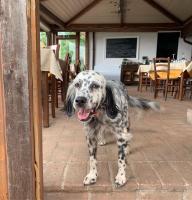 SetterHouseAgriHotel - B&B