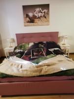 B&B Ozzano dell'Emilia - Tenuta I Ginepri - Bed and Breakfast Ozzano dell'Emilia