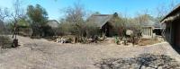 Call of the Wild Lodge - B&B