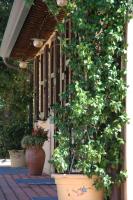 Il Podere del Falco - B&B Assisi