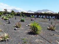 Las Arecas Villa - Ferienwohnung