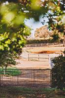Dalblair Bed & Breakfast - Ferienwohnung