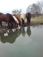 Agroturystyka Mętno 18 - Ferienwohnung Mętno